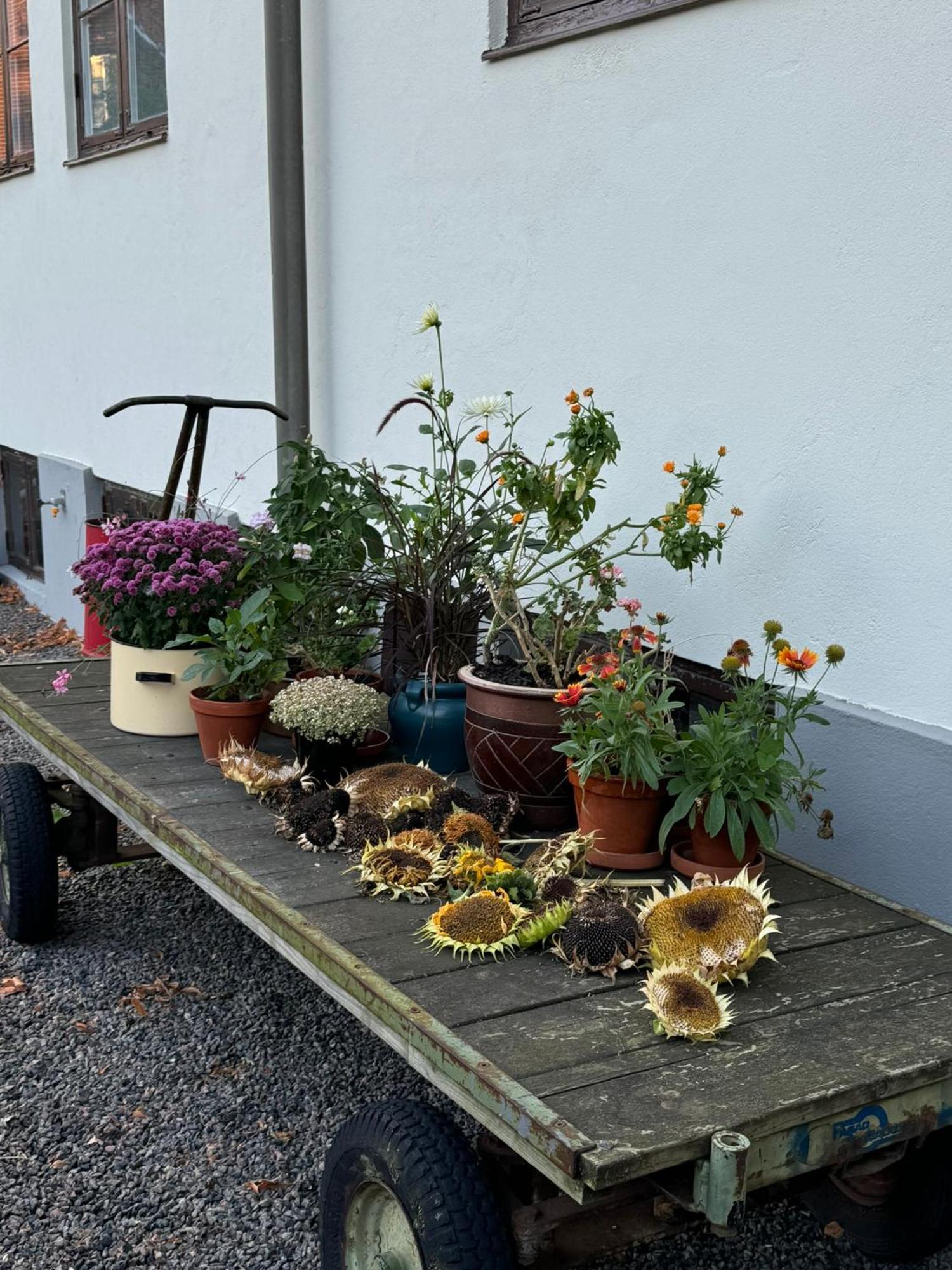 Stf Landskrona Hostel Luaran gambar